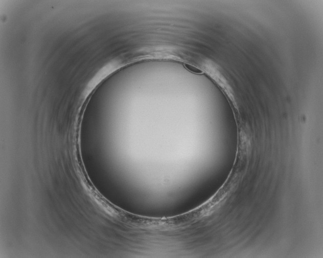 X0000086071002200703301101