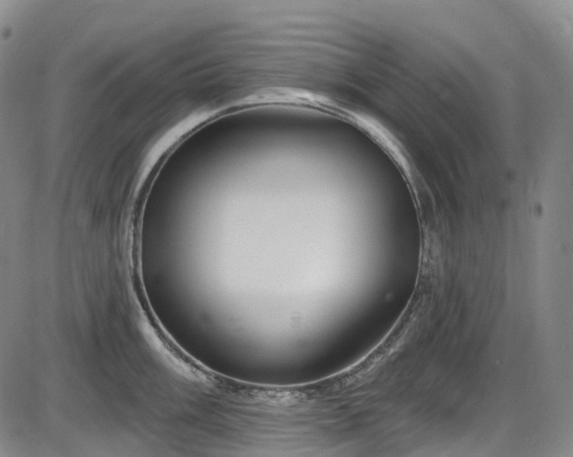 X0000086071003200703301101