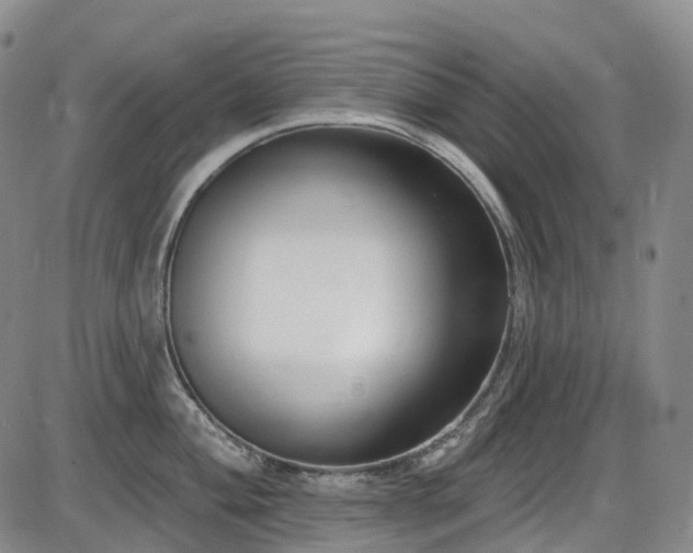X0000086071004200703301101