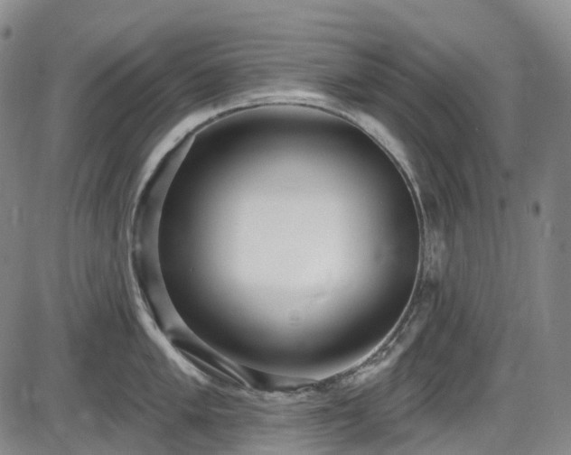 X0000086071005200703301101