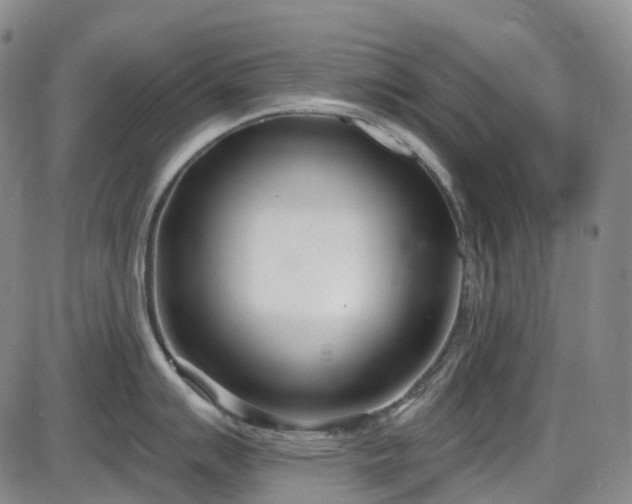 X0000086071007200703301101