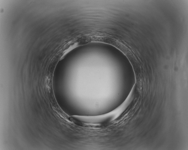 X0000086071010200703301101