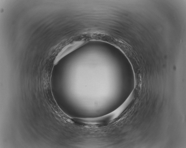 X0000086071014200703301101