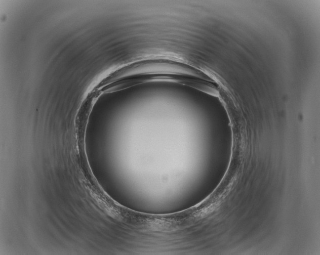 X0000086071022200703301101