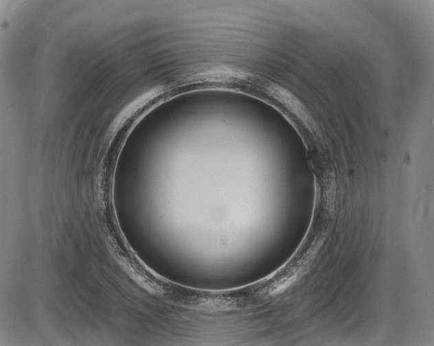 X0000086071026200703301101