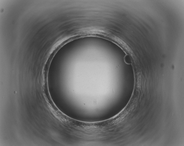 X0000086071031200703301101