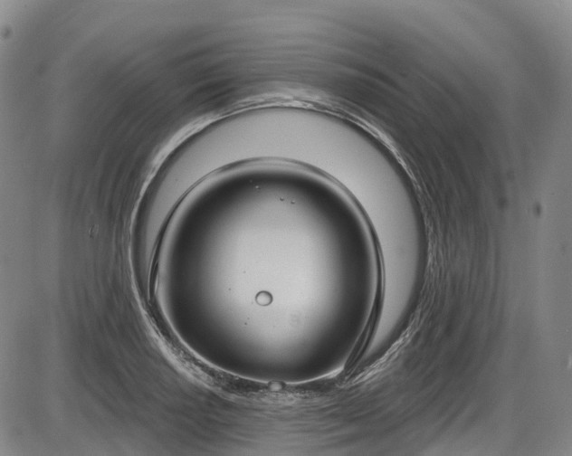 X0000086071034200703301101