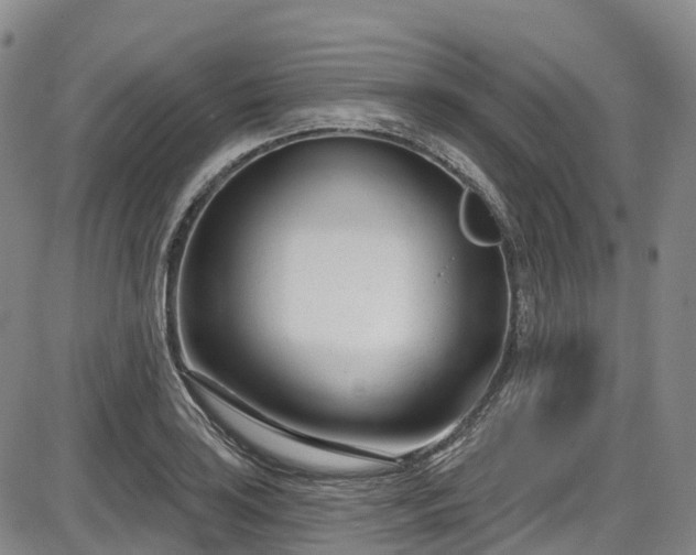 X0000086071035200703301101