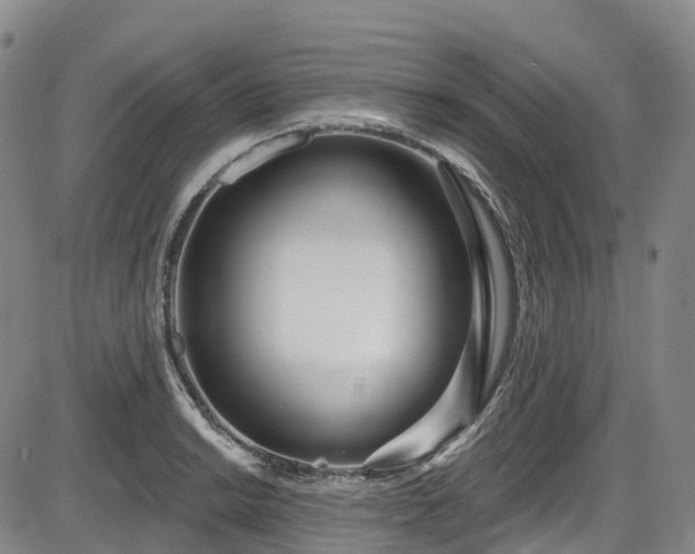 X0000086071038200703301101