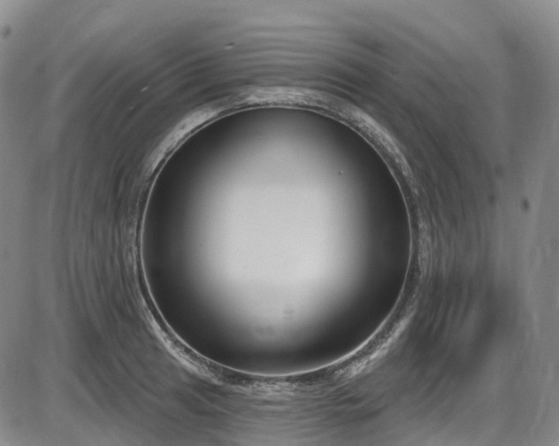 X0000086071041200703301101
