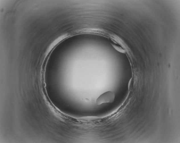 X0000086071050200703301101