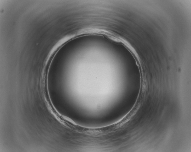 X0000086071053200703301101