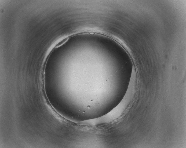 X0000086071056200703301101