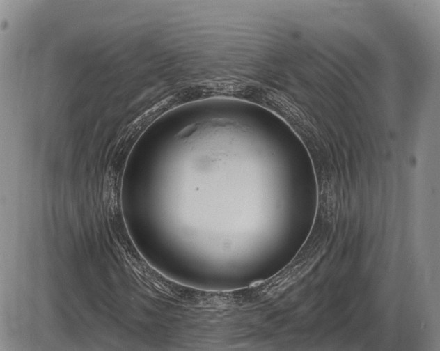 X0000086071058200703301101