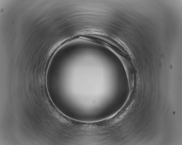 X0000086071081200703301100