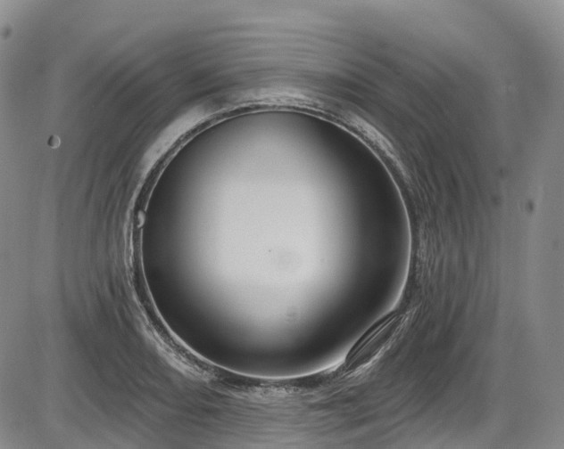 X0000086071082200703301100
