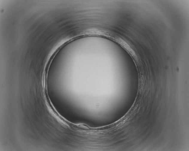 X0000086071084200703301100