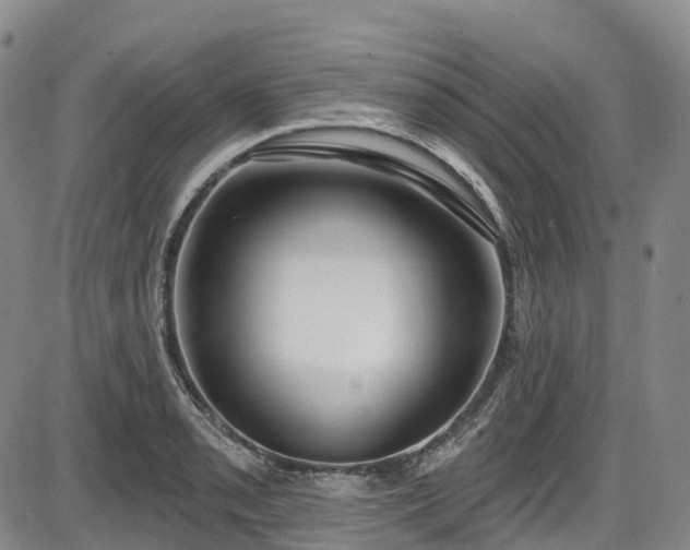 X0000086071085200703301100