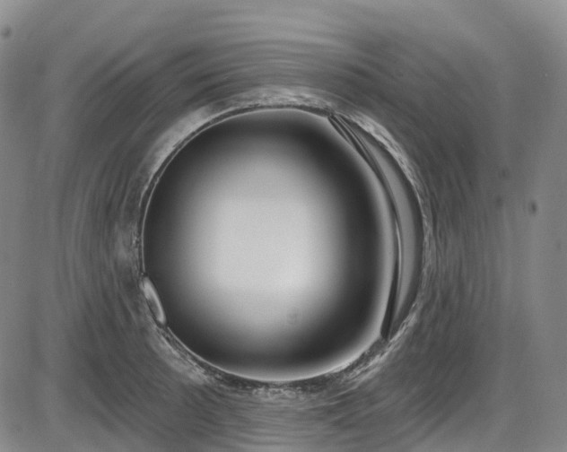 X0000086071089200703301100