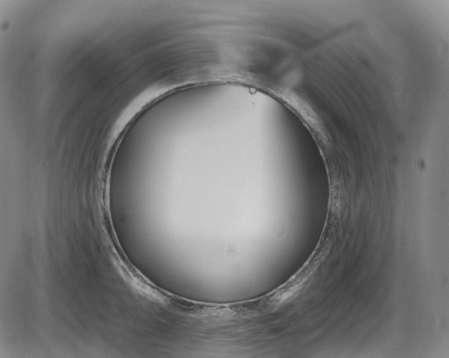 X0000086071094200703301100