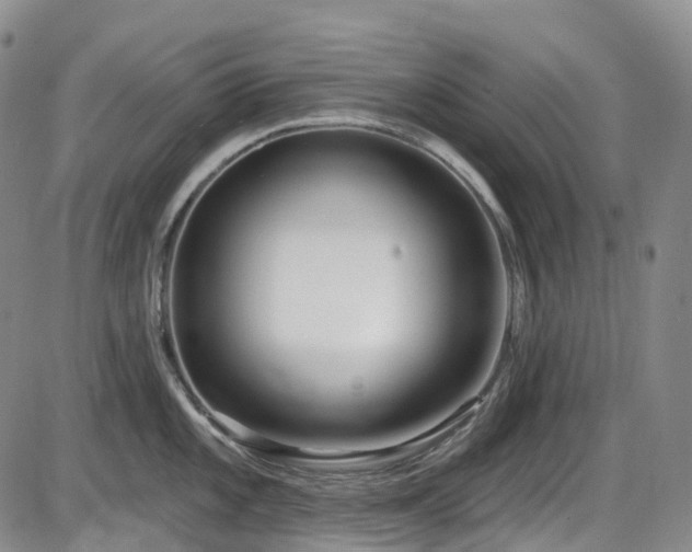 X0000086071101200703301100