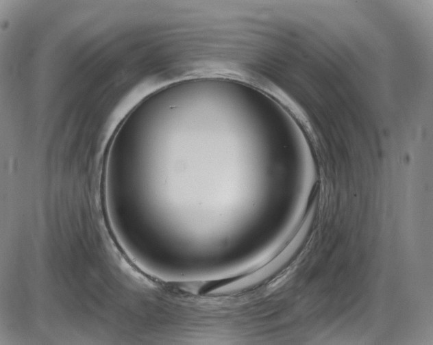 X0000086071102200703301100