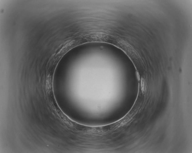 X0000086071107200703301059
