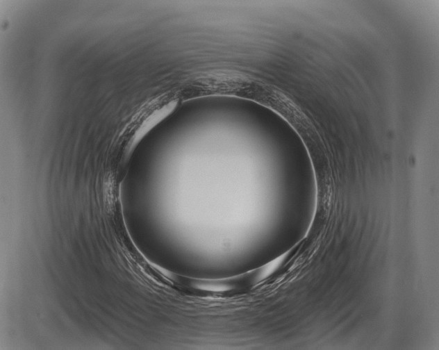 X0000086071108200703301059