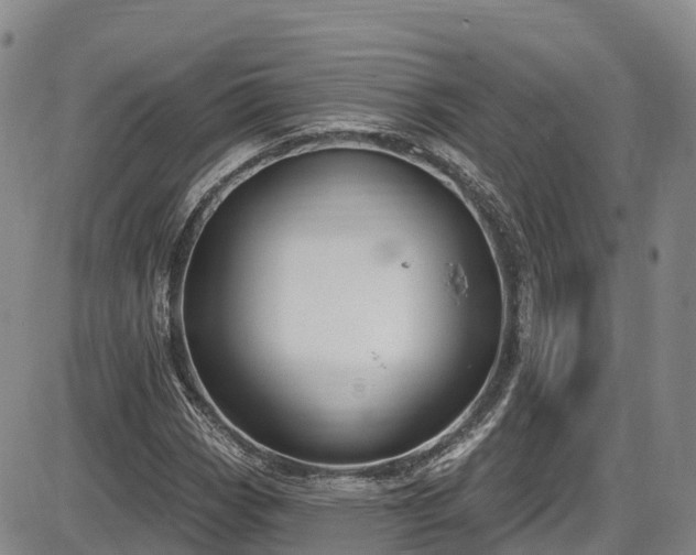 X0000086071113200703301059