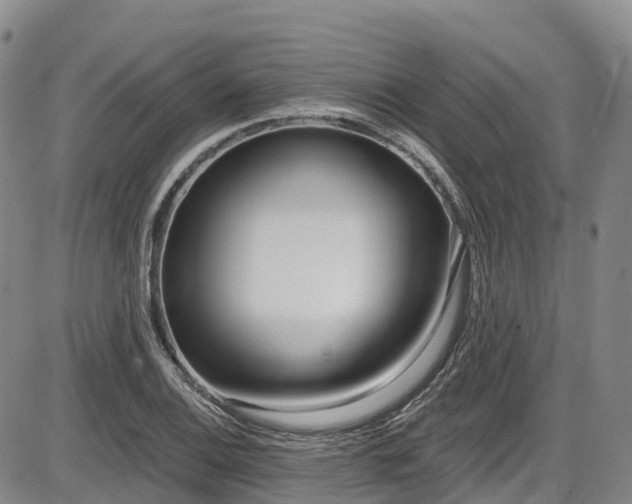 X0000086071124200703301059