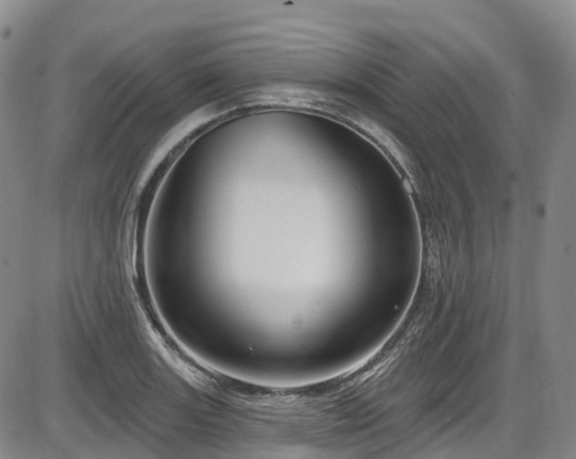 X0000086071131200703301059