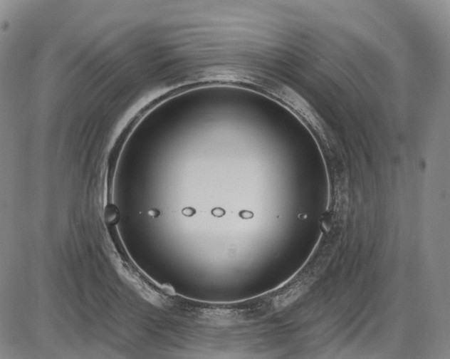 X0000086071132200703301059