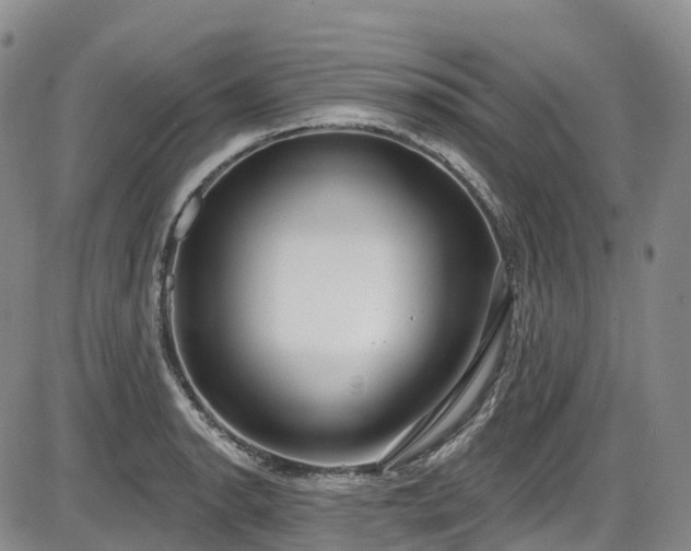 X0000086071134200703301059