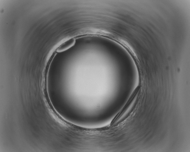 X0000086071136200703301100