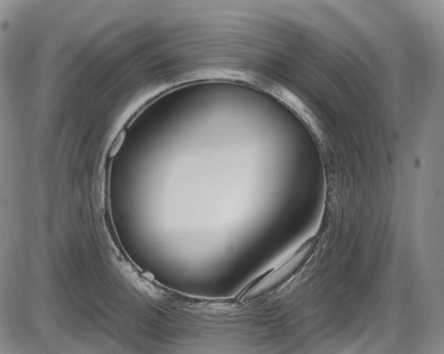 X0000086071140200703301100
