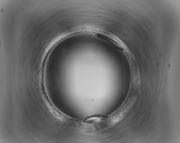X0000086071144200703301100