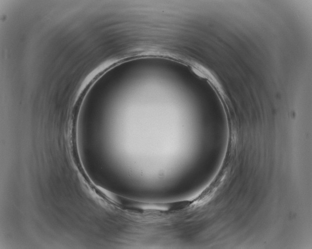 X0000086071149200703301100