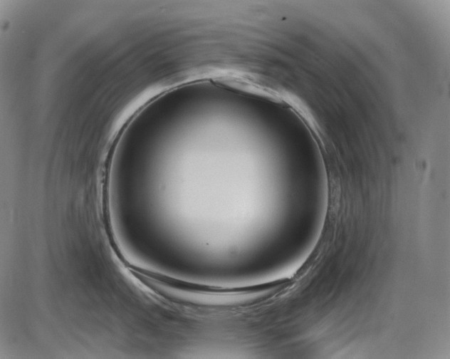 X0000086071151200703301100