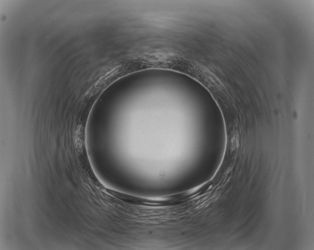X0000086071156200703301059