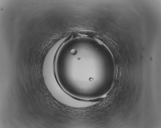 X0000086071157200703301059