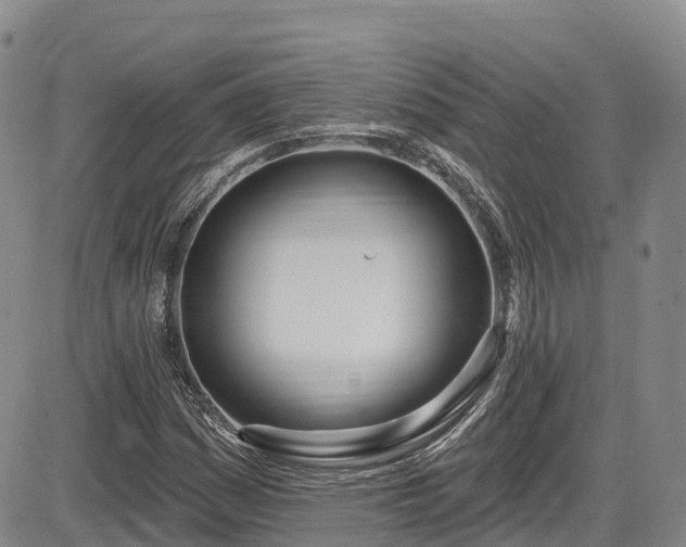 X0000086071161200703301059
