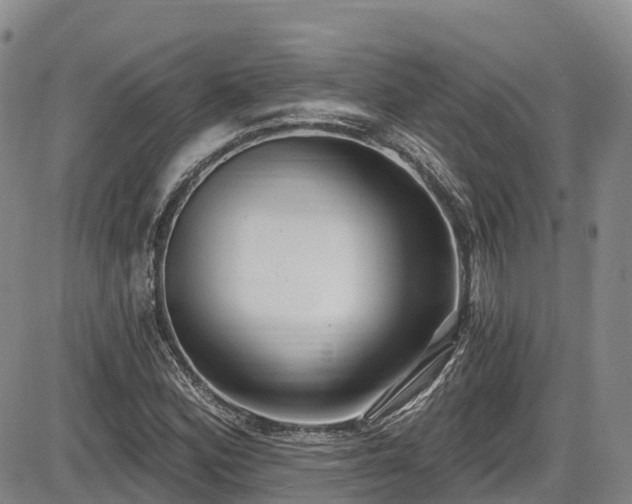 X0000086071164200703301059