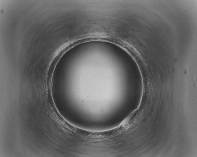 X0000086071168200703301059