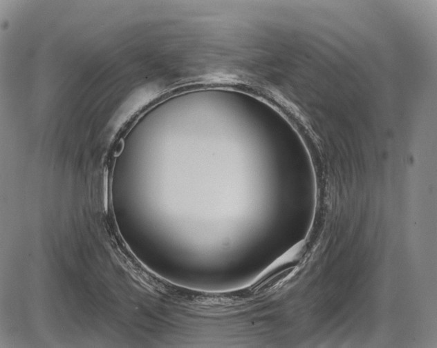 X0000086071171200703301059