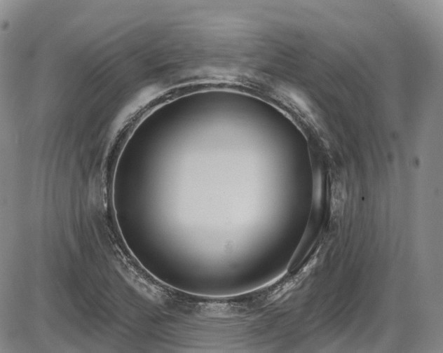 X0000086071172200703301059