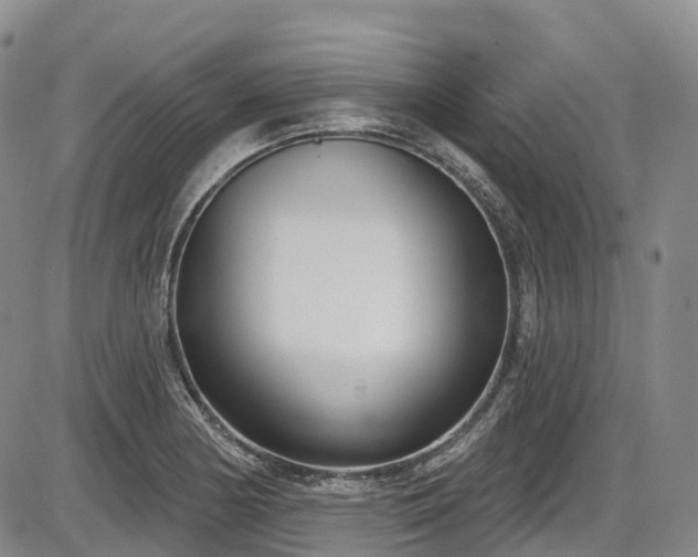 X0000086071178200703301059