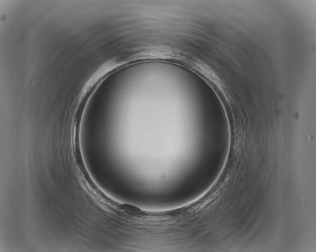X0000086071179200703301059