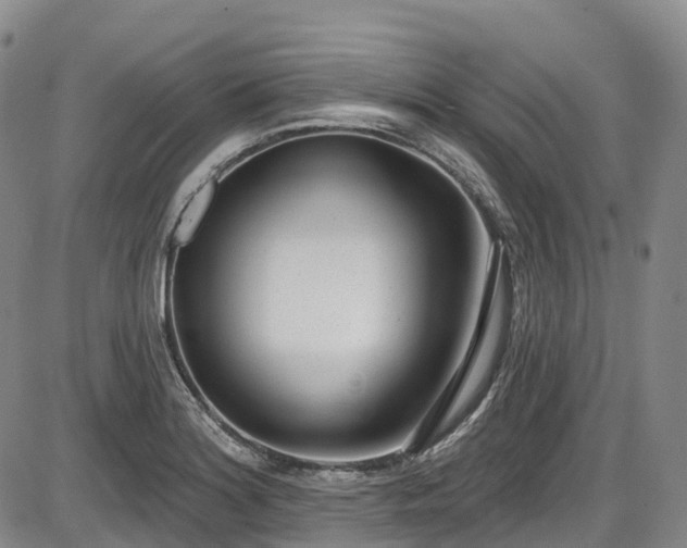 X0000086071180200703301059