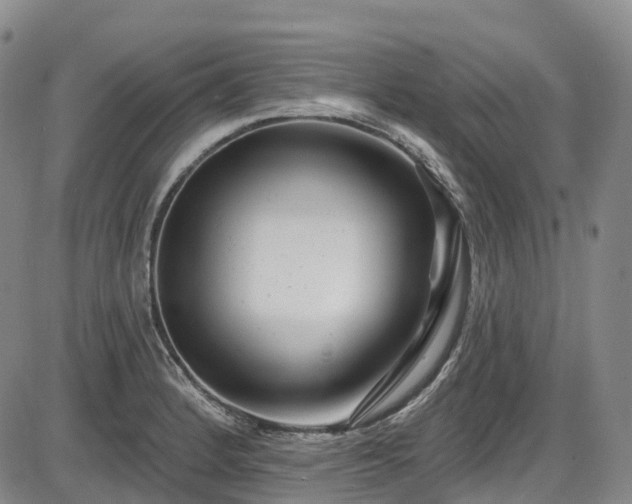 X0000086071184200703301058