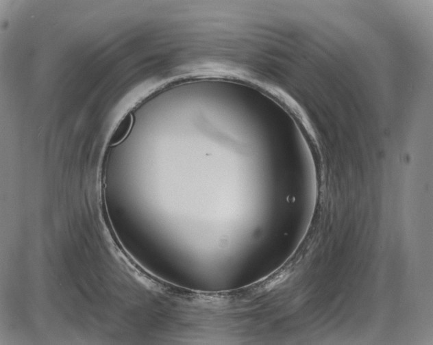 X0000086071191200703301058